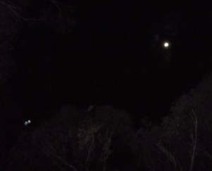 Ship decloaks just beyond the treeline, August 25th, 2015.