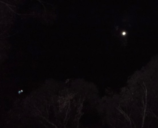 Ship decloaks just beyond the treeline, August 25th, 2015.