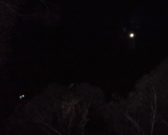 Small ship beyond the treetops, August 25th, decloaks with greeting as 'Orion delegate'. The ship is shielded in Arcturian (Angelic) energy.