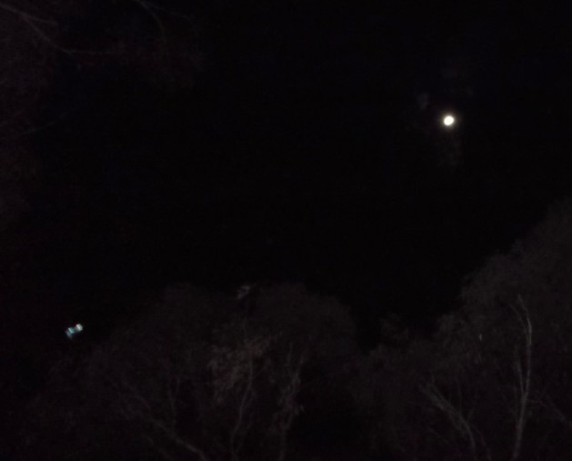 Small ship beyond the treetops, August 25th, decloaks with greeting as 'Orion delegate'. The ship is shielded in Arcturian (Angelic) energy.