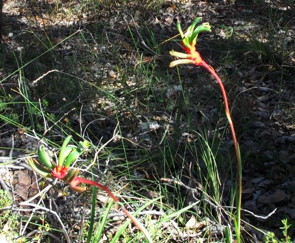 ...balancing red chi with the green of relaxation.