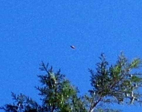 DSC01271 - Copy - Copy