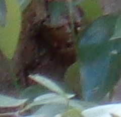 DSC01892 - Copy - Copy (2)