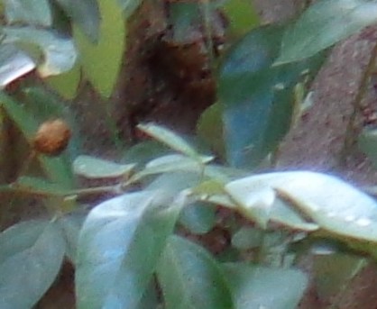 DSC01892 - Copy - Copy