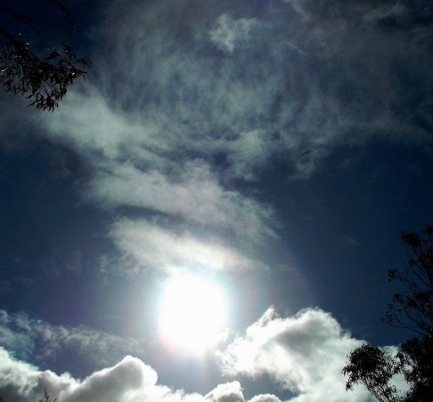 DSCF1957 - Copy (2) - Copy