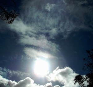 DSCF1957 - Copy (2) - Copy