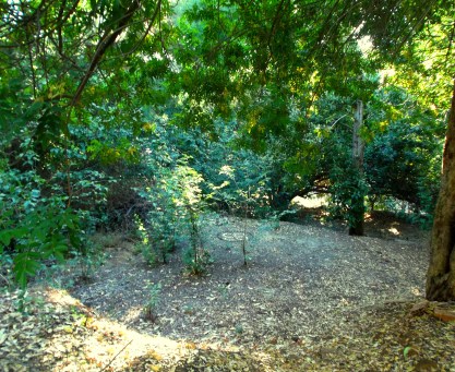 DSCF4759 - looking downhill to the sacred circle