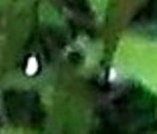 DSCF7432 - Copy - Copy (3)