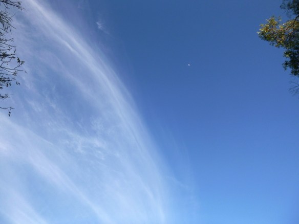 Photo taken June 3, 2014.