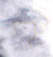 P1010995 - Copy - Copy (2)