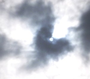 P1020007 - Copy - Copy