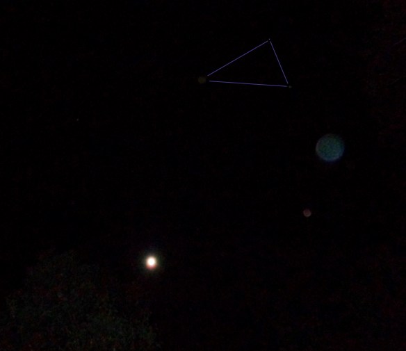 DSC01393 - Copy (4) - Copy