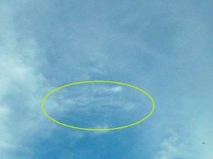 Whale-type forms can be seen moving around inside the 'ship', June 16th, 2015.