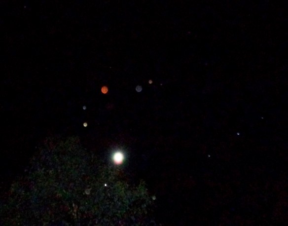 DSC01084 - Copy - Copy