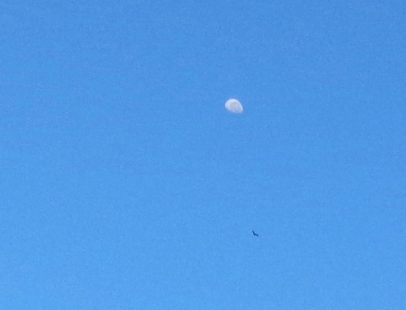 DSC02976 - Copy - Copy