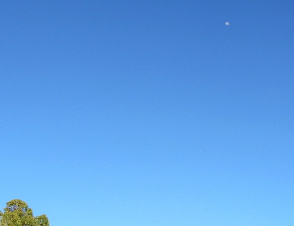 DSC02978 - Copy - Copy