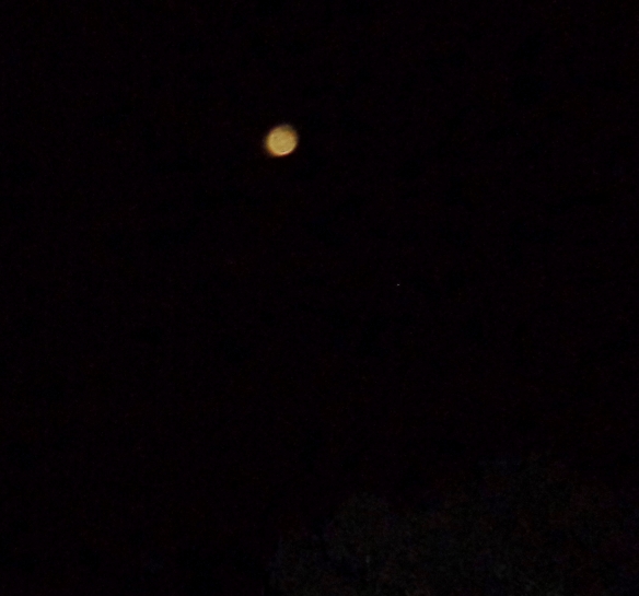 Lyran orb, photo taken April 15, 2016.