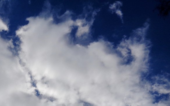 DSC04034 - Copy (2) - Copy