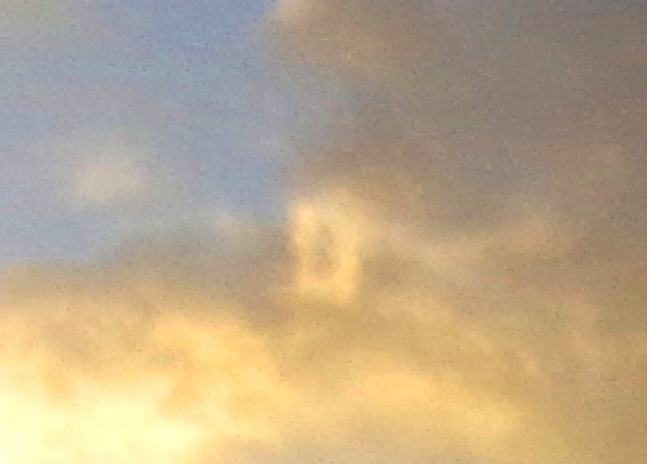 DSC04257 15-5-16-- - Copy