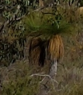 DSC04748 - Copy - Copy - Copy