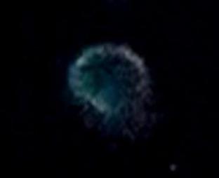 DSC04845 - Copy (2) - Copy