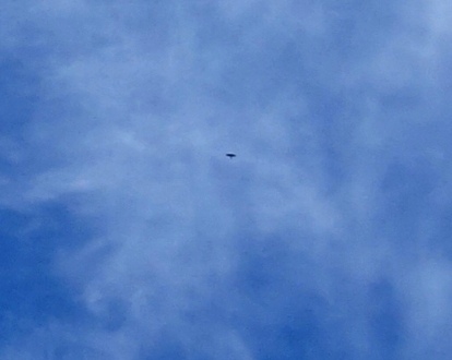 DSC04963 - Copy - Copy