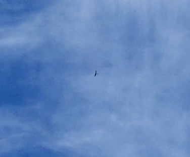 DSC04965 - Copy - Copy