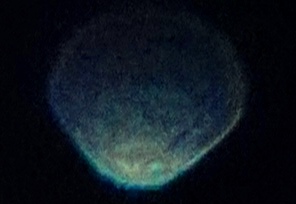 'Seashell Orb', photo taken June 17th, 2016.