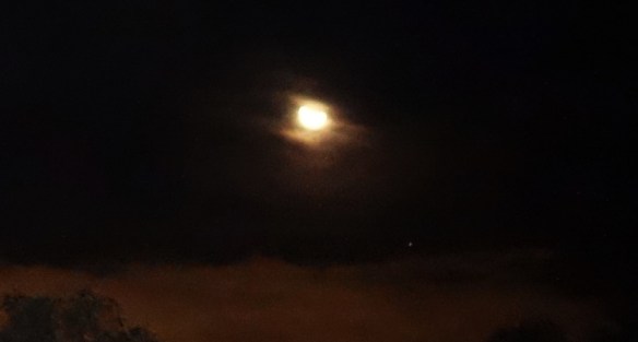 Shem Arua angles upward/north, June 9, 2016.