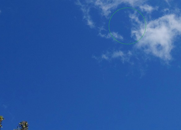 Ashura's 'pod ship' overhead on August 16, 2016.