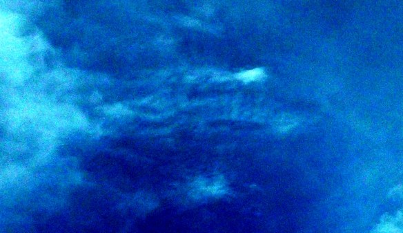 Enlargement, contrast enhanced.