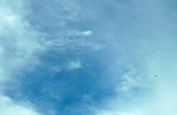 Whale being ship from Zailan'taha, Sirius C, photo taken June 16, 2015.