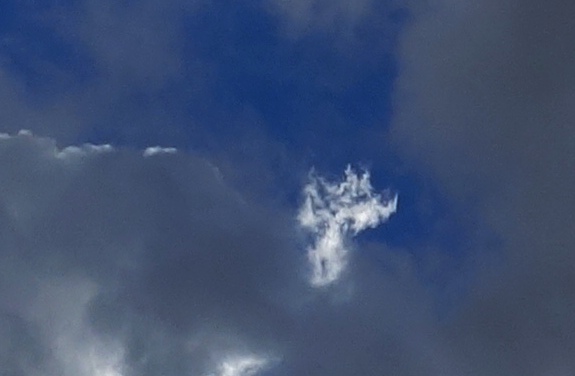 White Fire Tree of Life in the clouds, photo taken August 10, 2015.