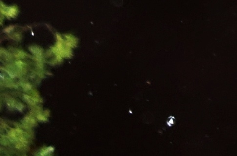 'Angel in a raindrop', September 16, 2016.