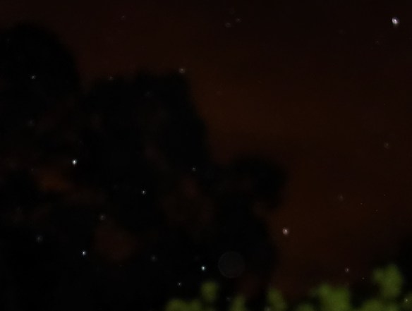 Rose candle raindrop, upper right corner of photo, September 16, 2016.