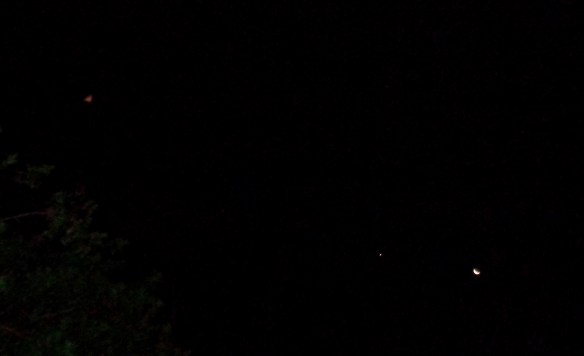 Venusian 'rose triangle' ship flies toward Venus & the Moon, November 3, 2016.