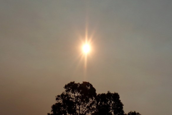 Sun appeared 'rose-gold-rayed' through smoke on November 4th, 2016.