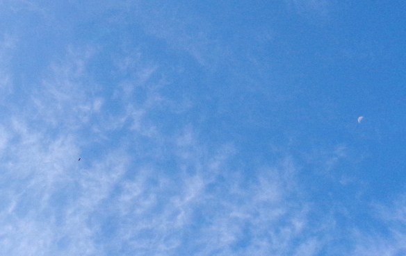 Eagle and Moon, November 7th, 2016.