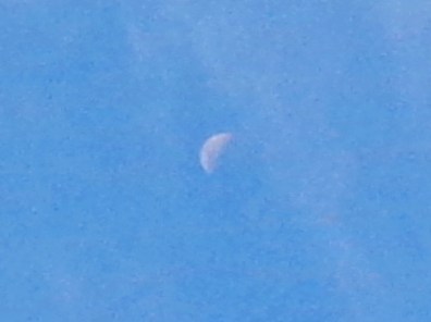 Moon turns pink inside, November 7th, 2016.