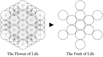 fruitoflife