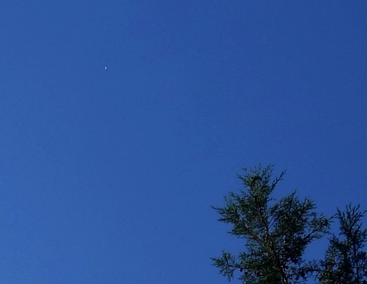 dsc08353-copy-2-copy