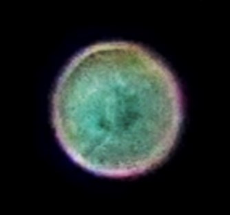 dsc08901-copy-2-copy