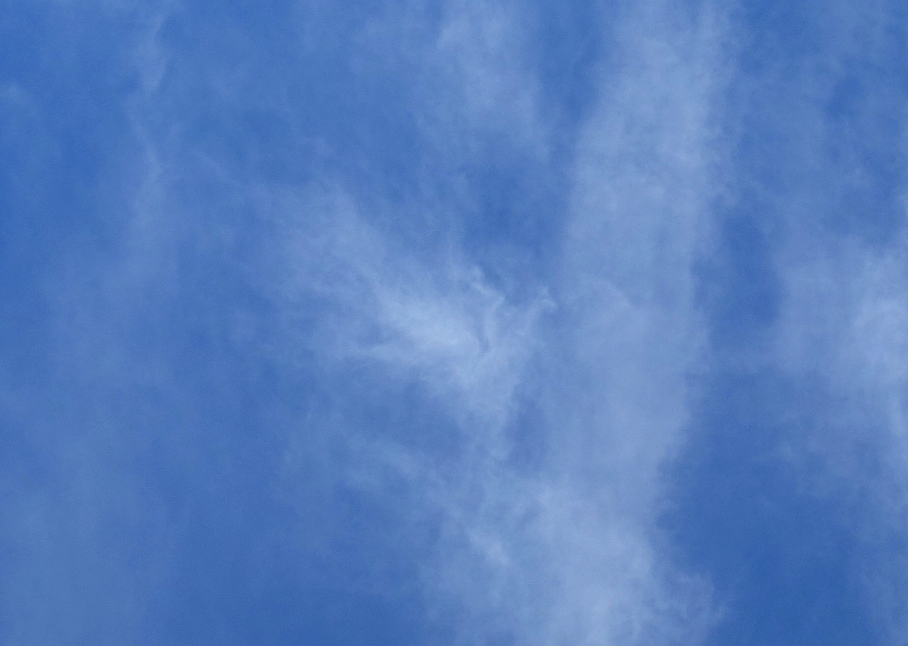 DSC08108 - Copy (2) - Copy