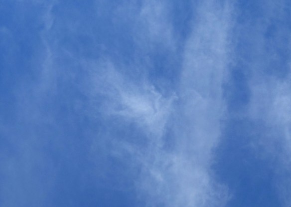 DSC08108 - Copy (2) - Copy