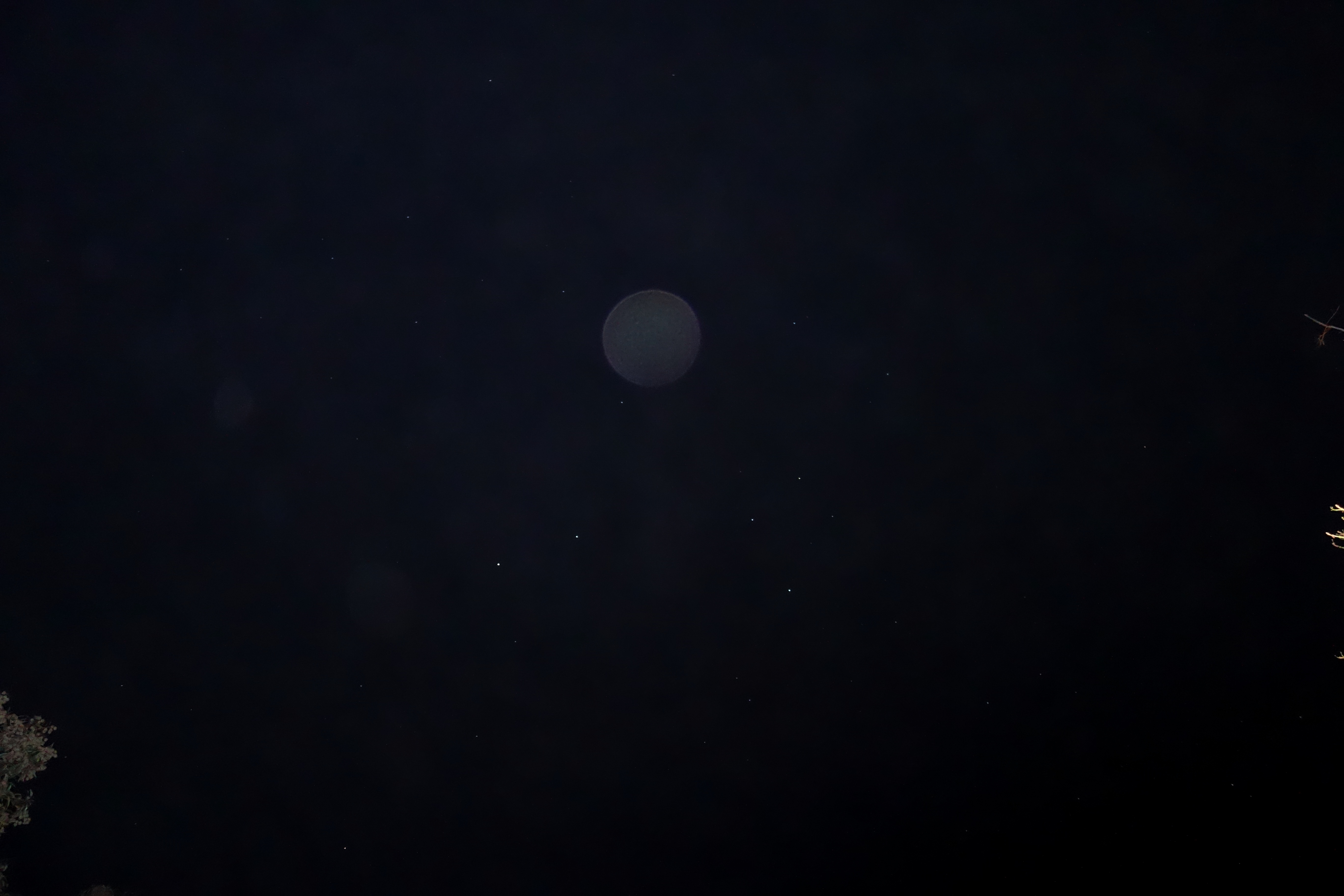 DSC08180 - Copy (2) - Copy