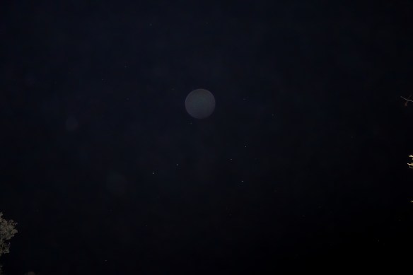 DSC08180 - Copy (2) - Copy