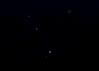 DSC09867 - Copy - Copy (2)