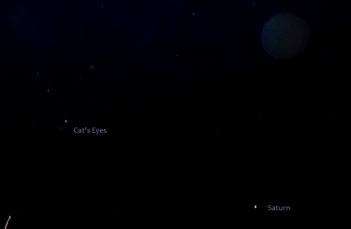 DSC09867 - Copy - Copy