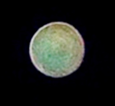 DSC09876 - Copy (3) - Copy