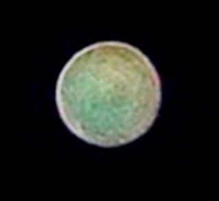 DSC09876 - Copy (3) - Copy